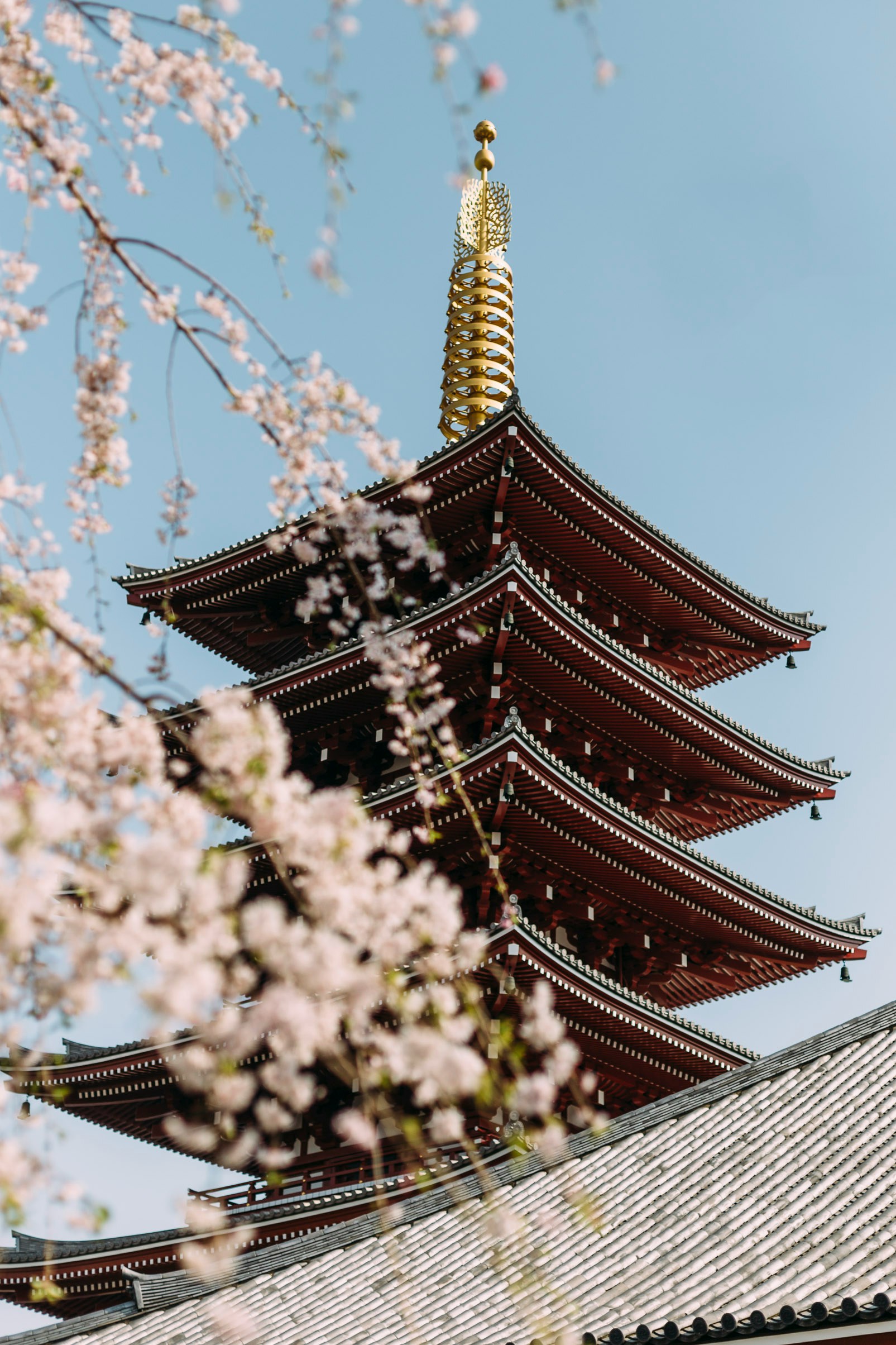 Japan Culture Tour