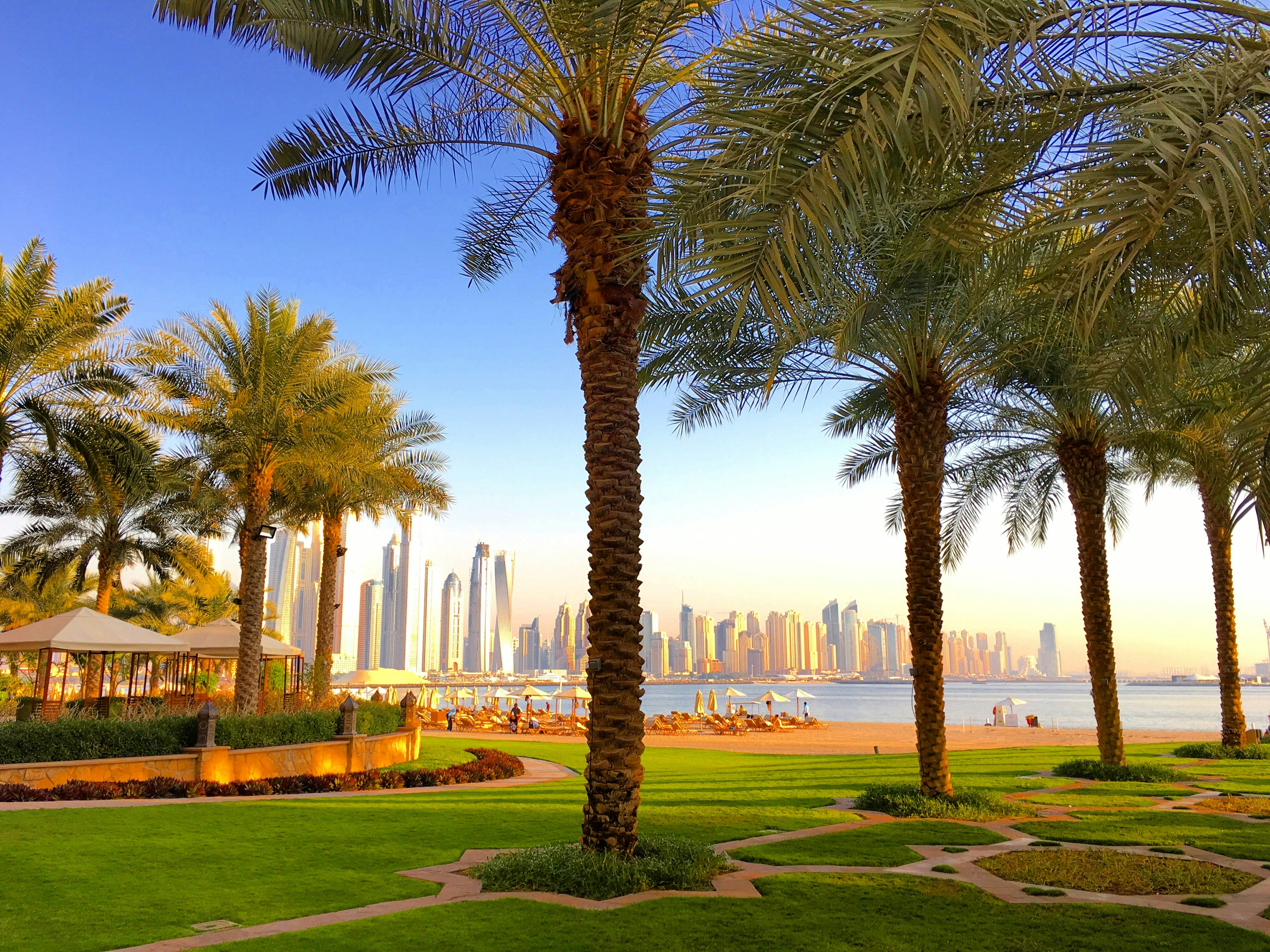 Dubai Desert